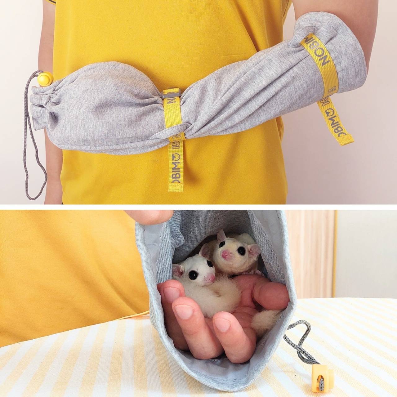 フクロモモンガ　べた慣れ用品