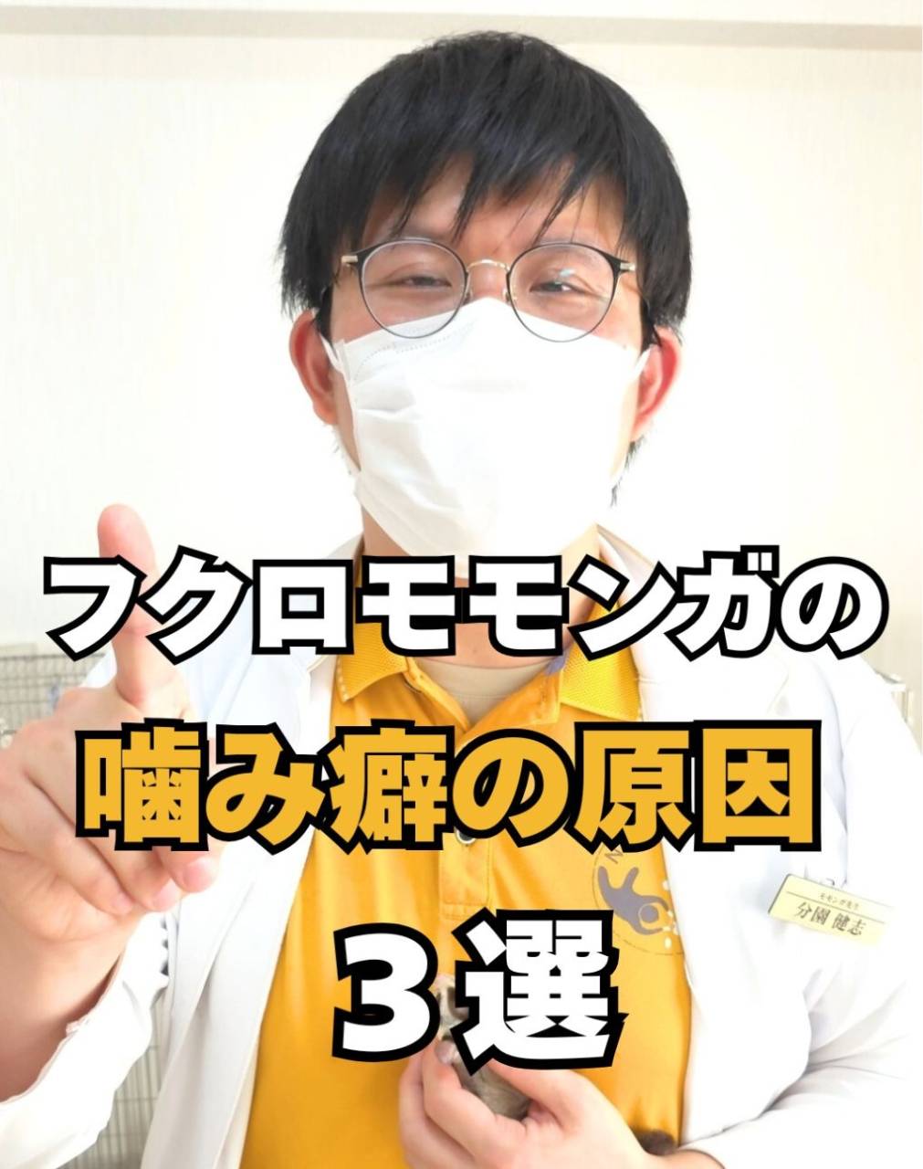 フクロモモンガの噛み癖の動画をアップしました