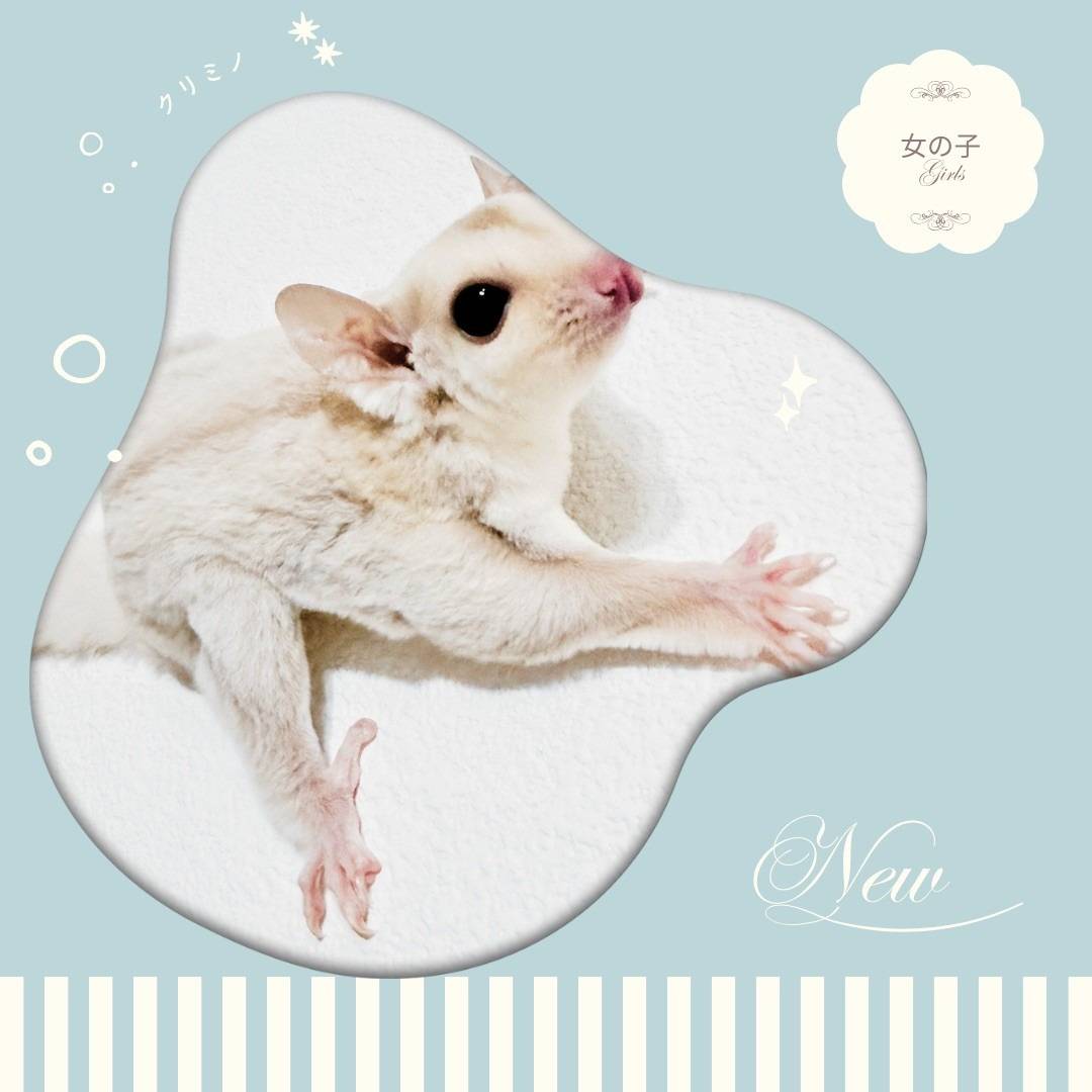 クリミノ おんなのこ