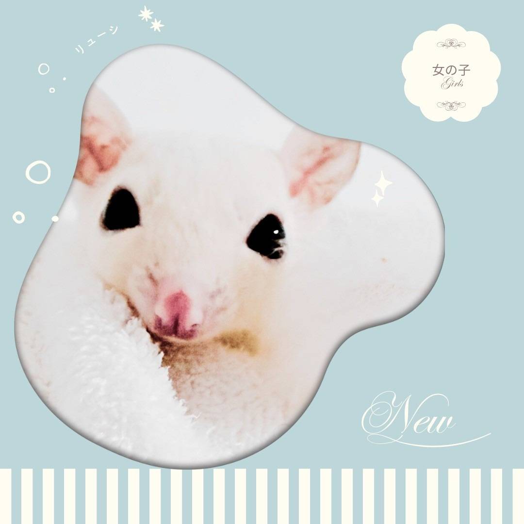 モシスティック おんなのこ