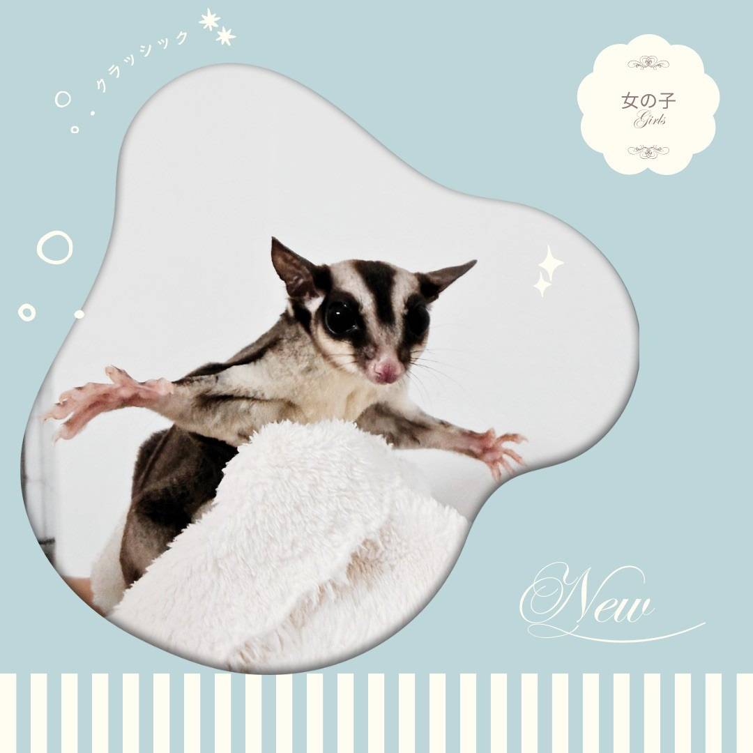 クラッシック おんなのこ②