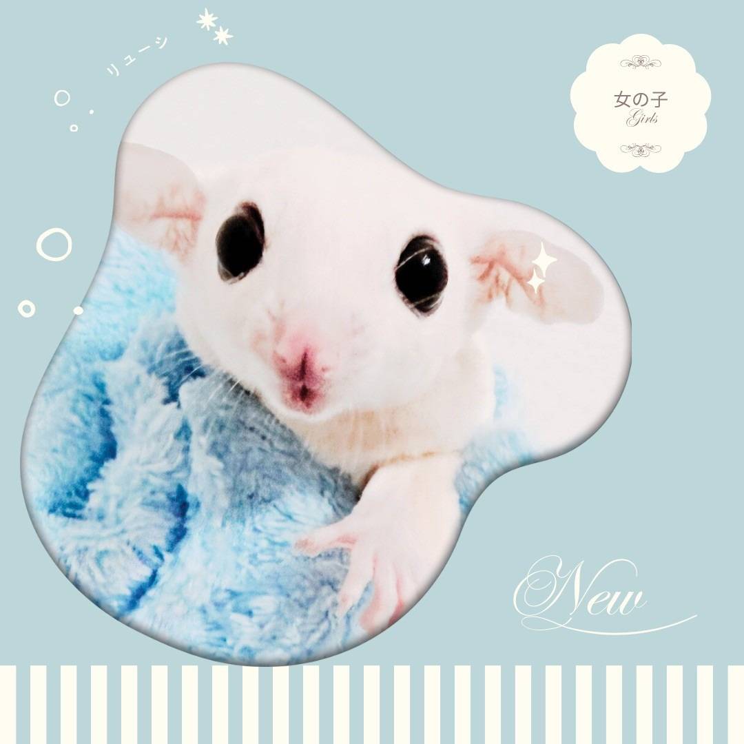 リューシスティック おんなのこ