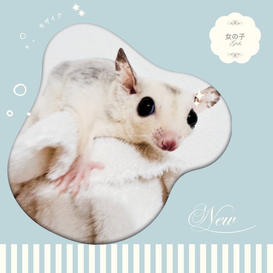 モザイク おんなのこ