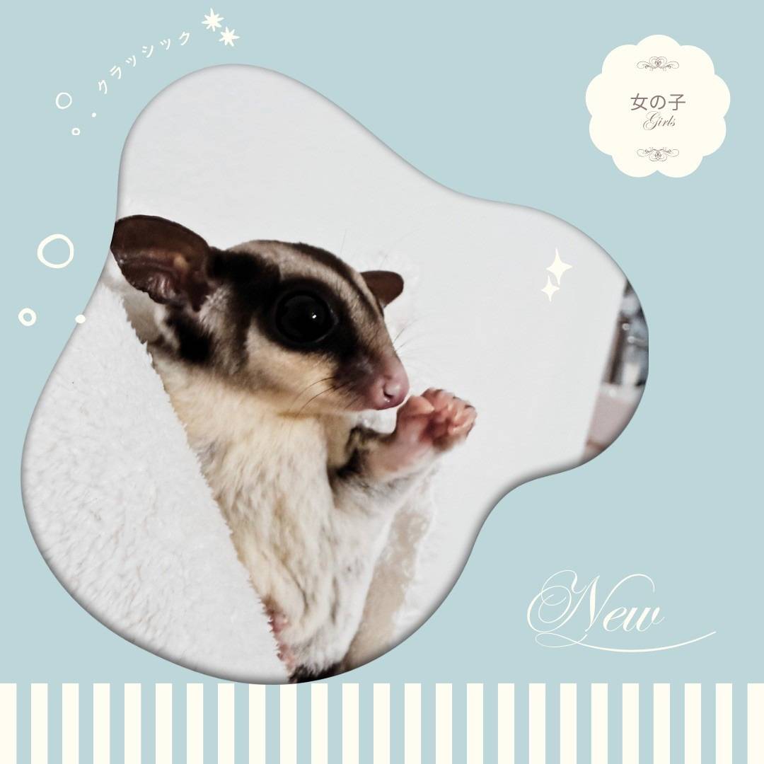 クラッシック おんなのこ①