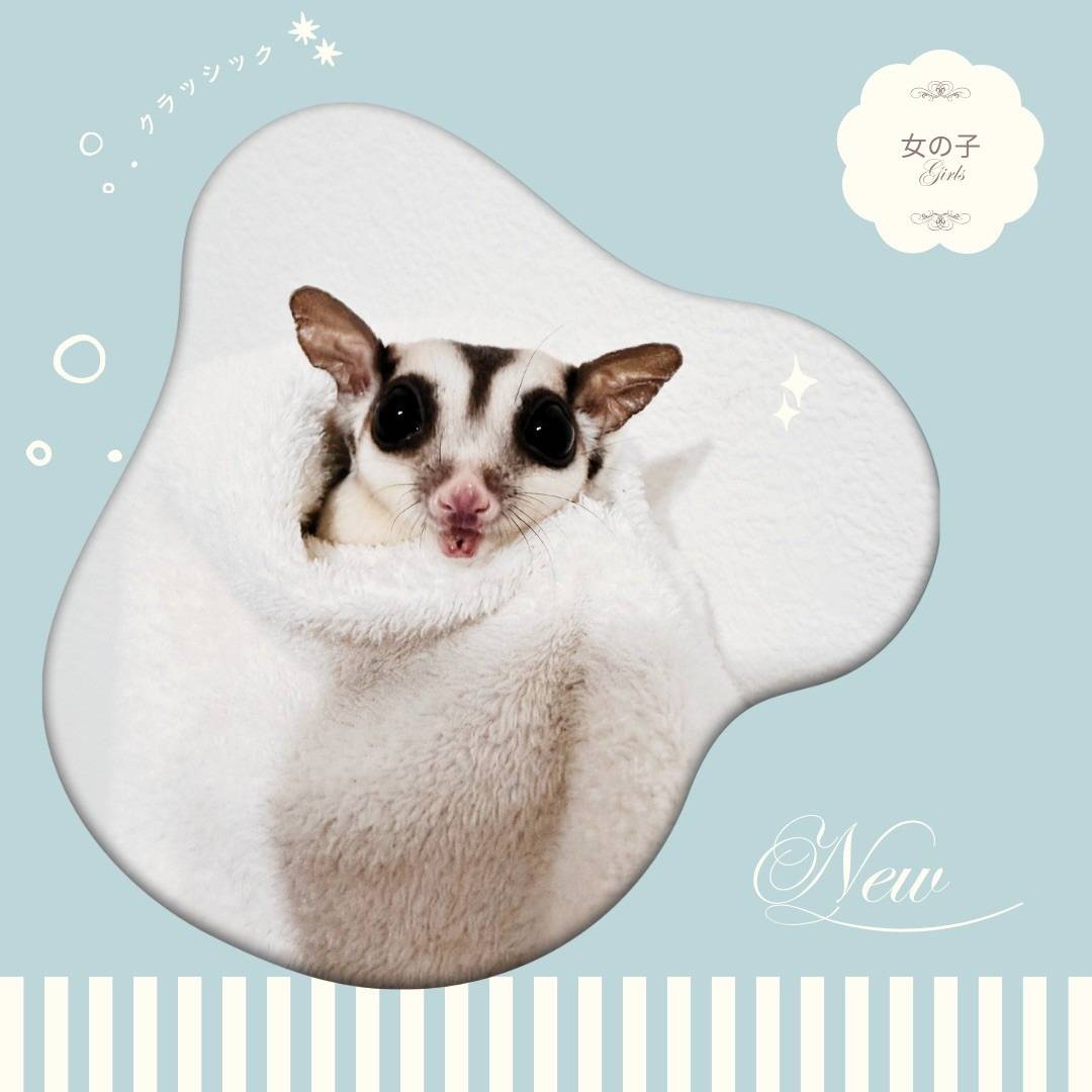 ティップテイル おんなのこ