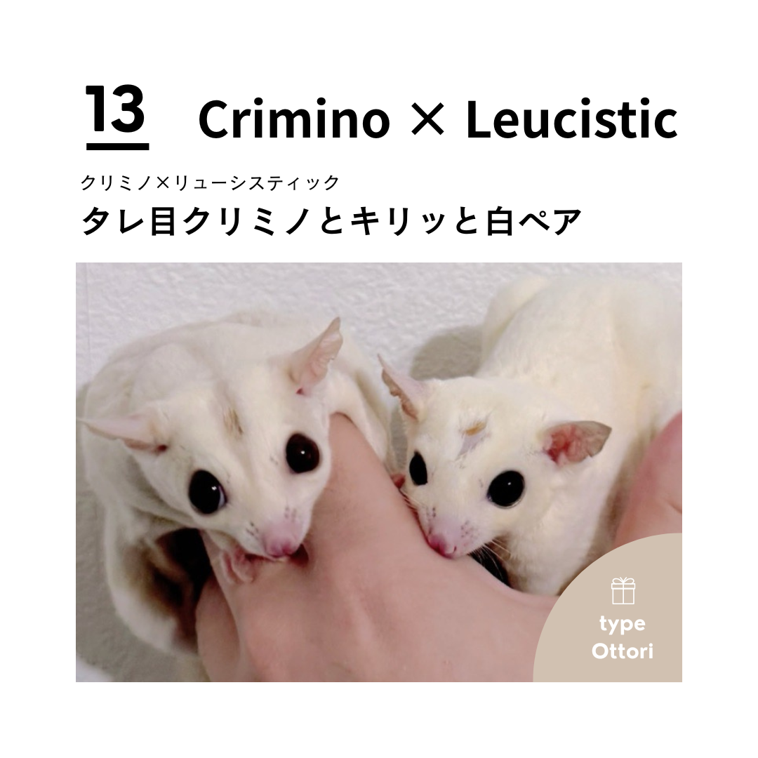 男の子フェス⓭