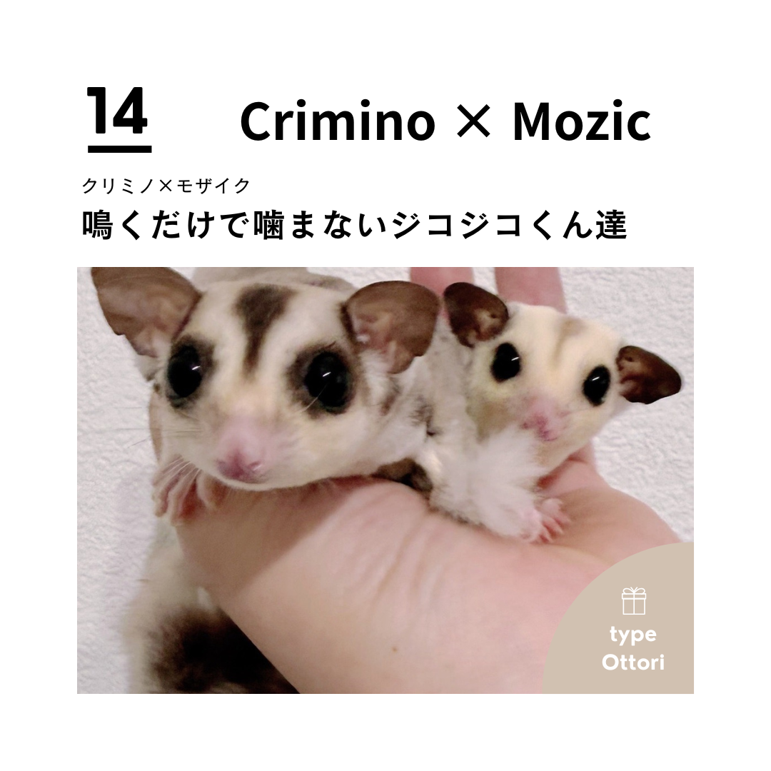 男の子フェス⓮