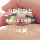 のびも15の名前の意味