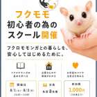 フクロモモンガ初心者向けのスクール開催