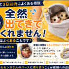 フクロモモンガが出てこない時