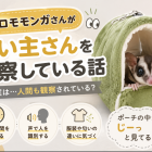 フクロモモンガが飼い主を観察する？