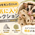 フクロモモンガのお気に入りセレクション